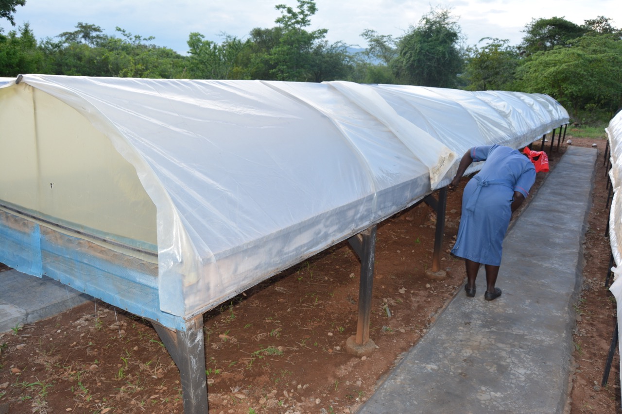 GC-AIMS_20160506_26303746084_d9d36248c2_o Large