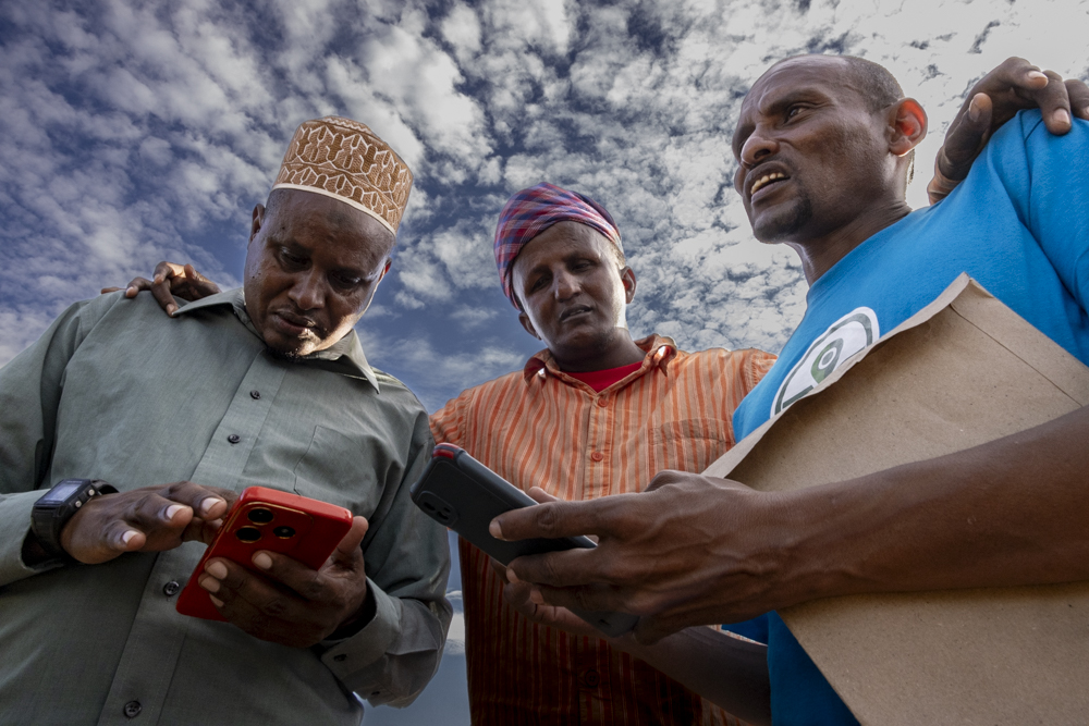 Three pastoralists looking at mobile app on phone