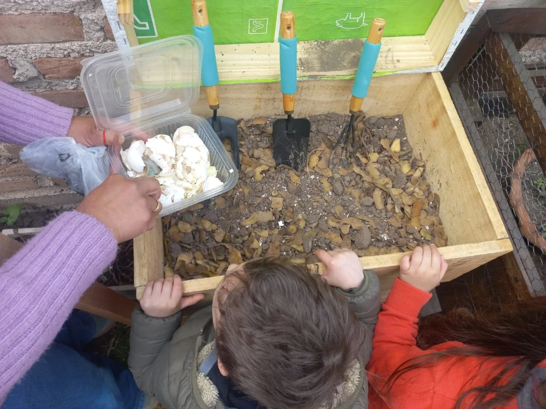 Proyecto-Bives-Cascara-de-Papa-2