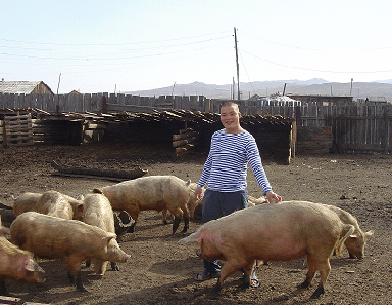 mongolia-pig-farmer