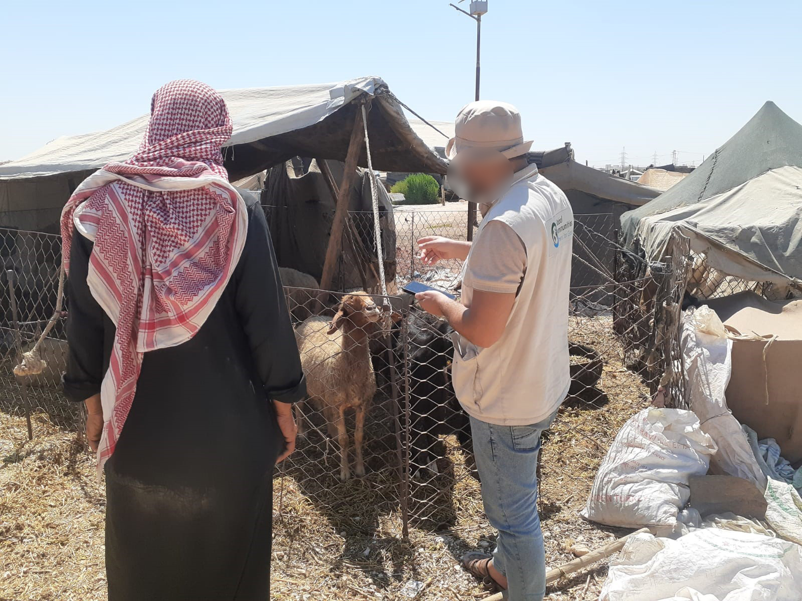 Fodder Distribution in Azaz (1)