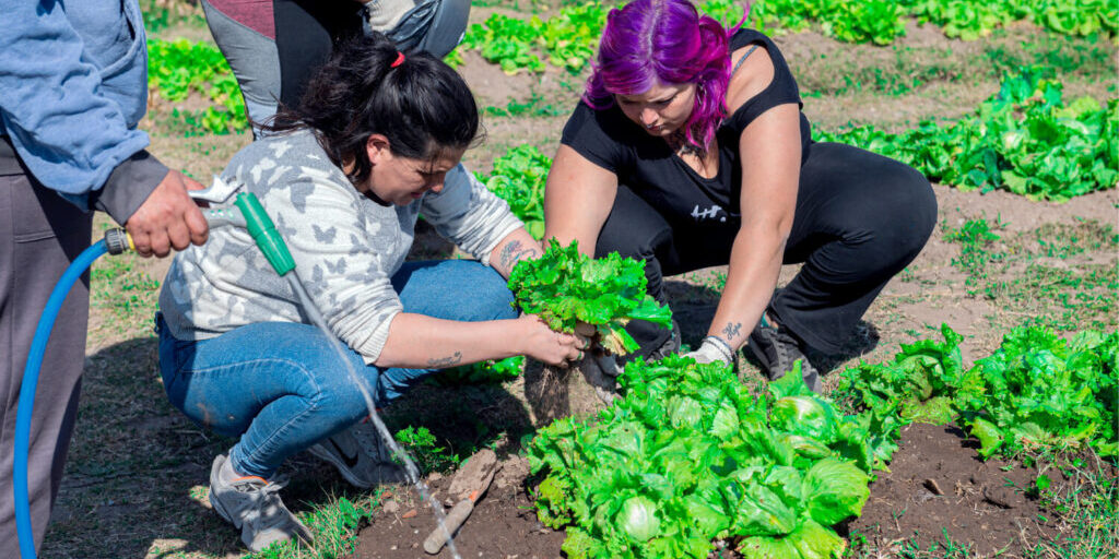 Food-Security-Argentina
