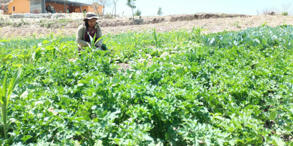 Guatemala_Podemos-program_Pascuala-1